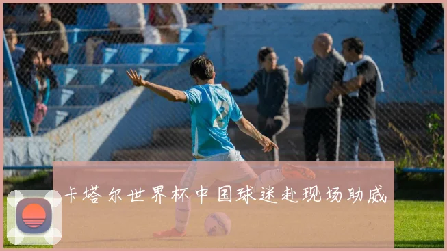 卡塔尔世界杯中国球迷赴现场助威