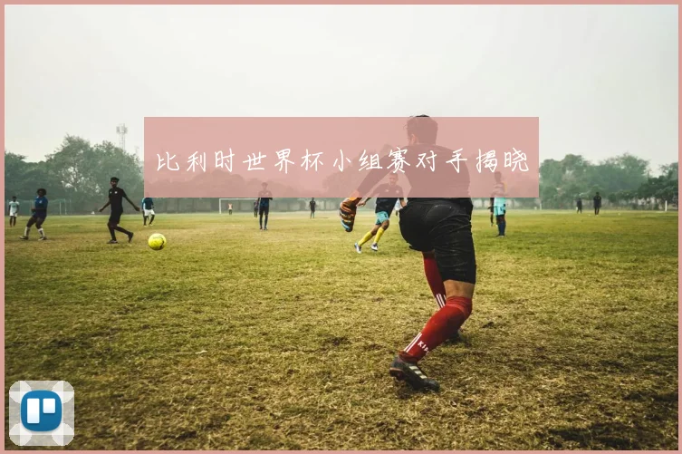 比利时世界杯小组赛对手揭晓