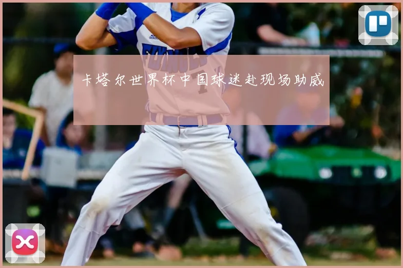卡塔尔世界杯中国球迷赴现场助威