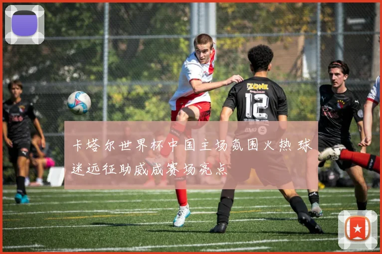 卡塔尔世界杯中国主场氛围火热 球迷远征助威成赛场亮点