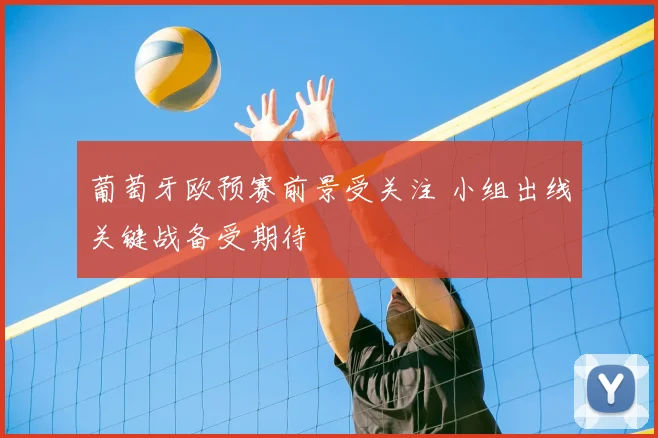葡萄牙欧预赛前景受关注 小组出线关键战备受期待