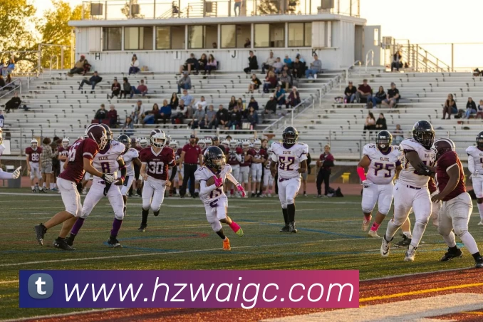 世界杯官网平台平台生态图